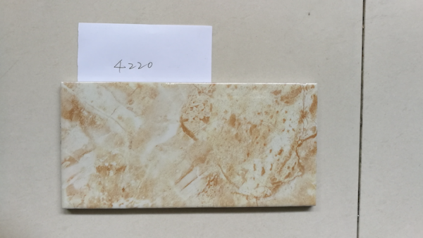 100x200mm tile 4220